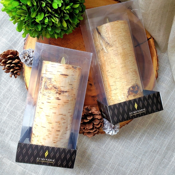 luminara Accents 2 Pc Luminara White Birch Tree 85 Realflame Effect Pillar Wax Candle Set
